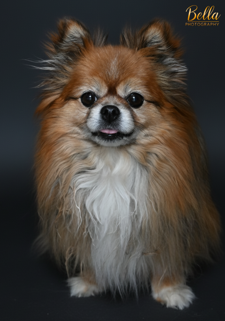 Pearl portrait session